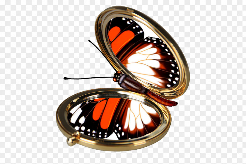 Creative Butterfly Mirror Nymphalidae PNG
