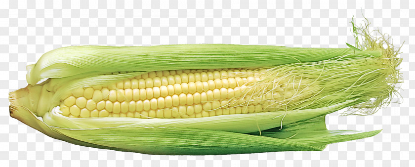 Food Plant Corn On The Cob Vegetable Kernels Sweet PNG