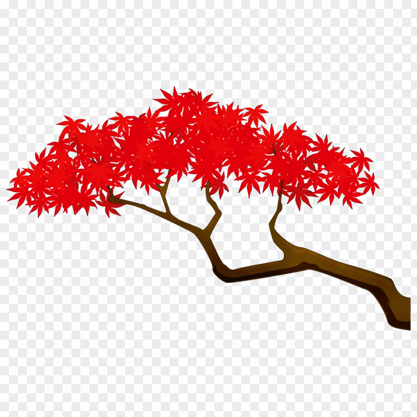 Twig Flower Red Tree Leaf Plant Branch PNG