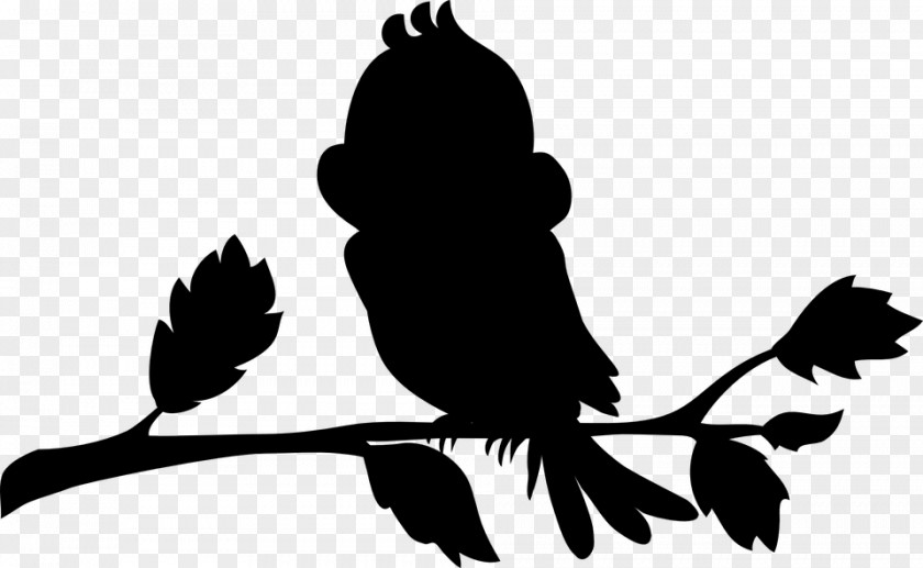 Bird Clip Art Cartoon Owl Vector Graphics PNG