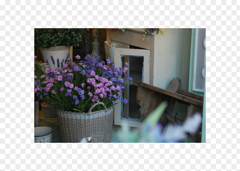 Cottage Floral Design Floristry Vase Flowerpot Blomsterbutikk PNG