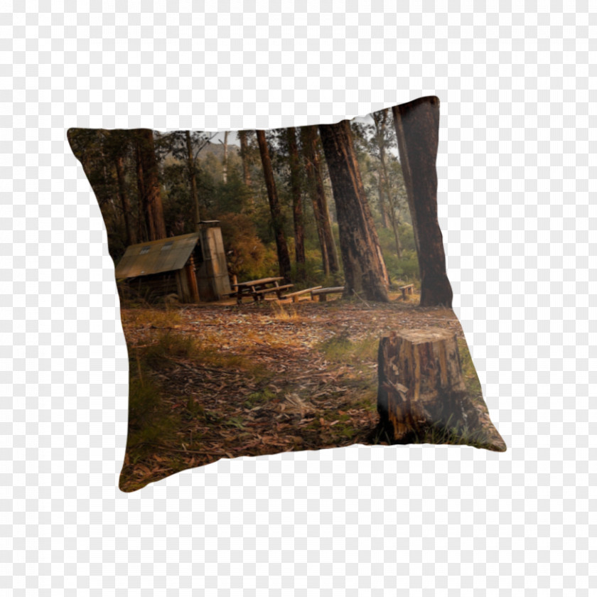 Forest Hut Dwelling Cushion Throw Pillows PNG