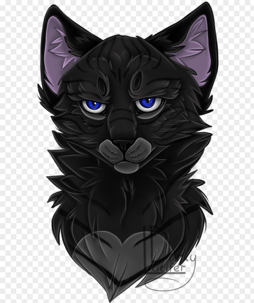 Kitten Black Cat Korat Whiskers Domestic Short-haired PNG