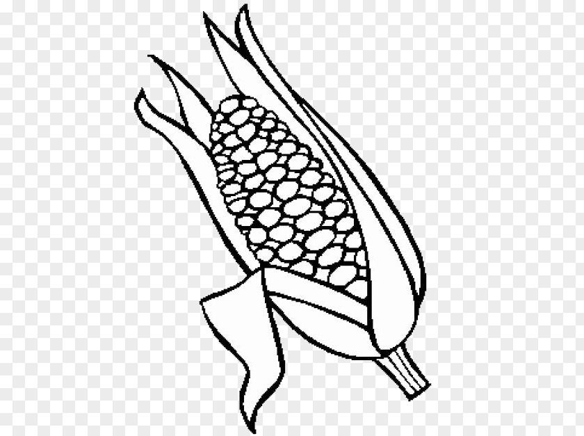 Painting Maize Drawing Corncob Food PNG