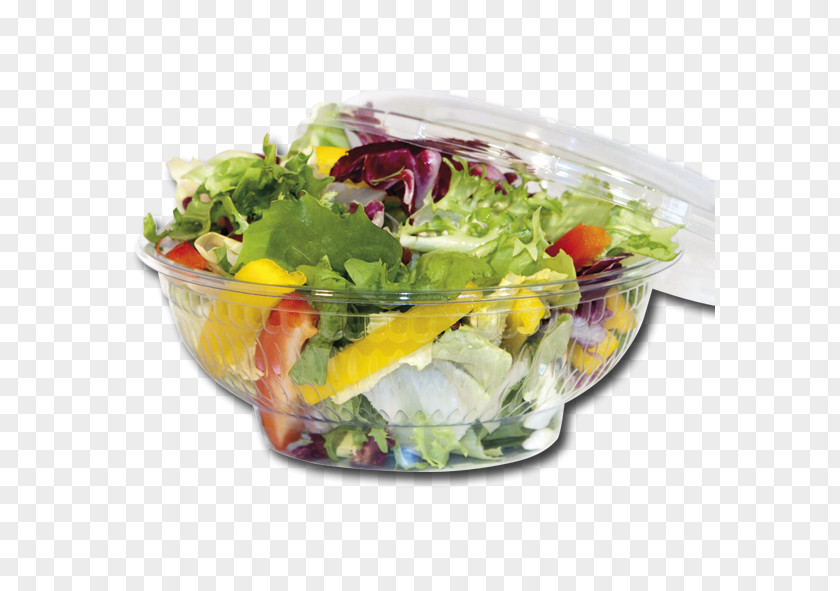 Plate Lettuce Vegetarian Cuisine Plastic Salad PNG