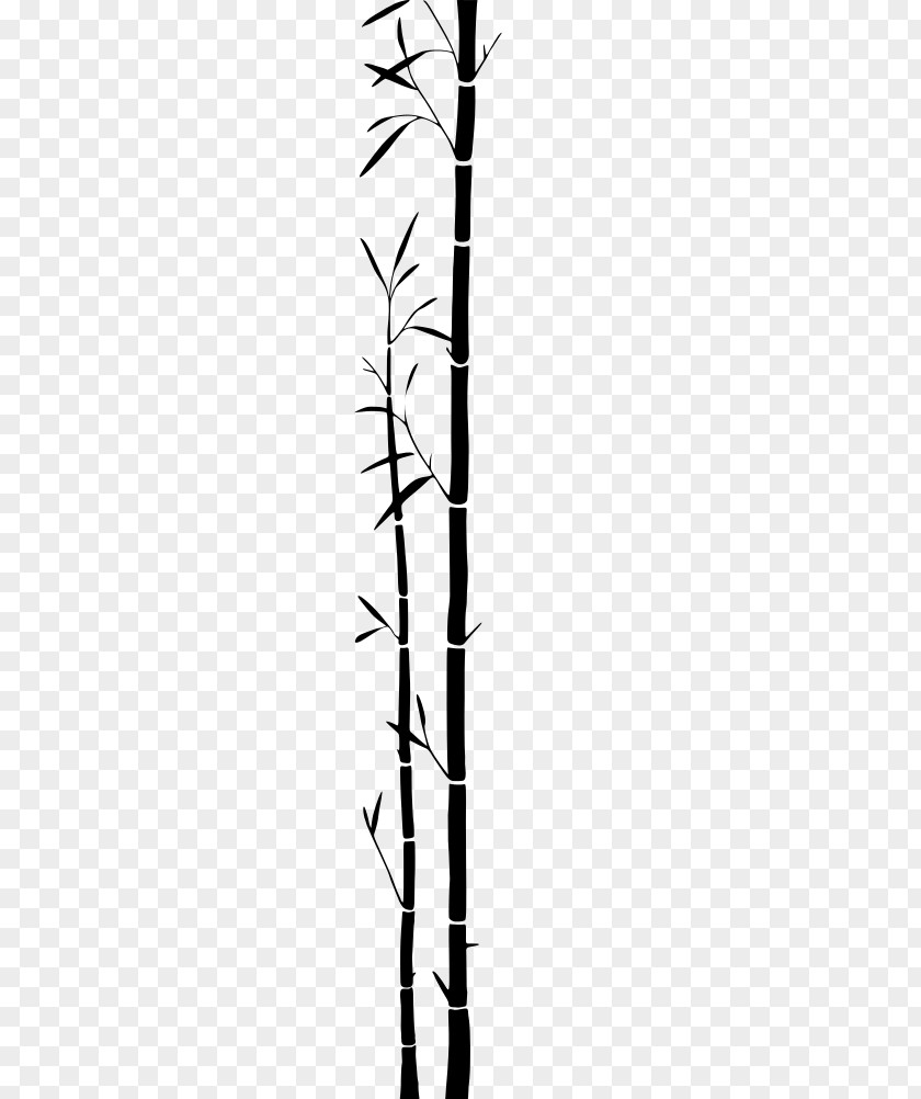 Bamboo Clipart Tropical Woody Bamboos Silhouette PNG