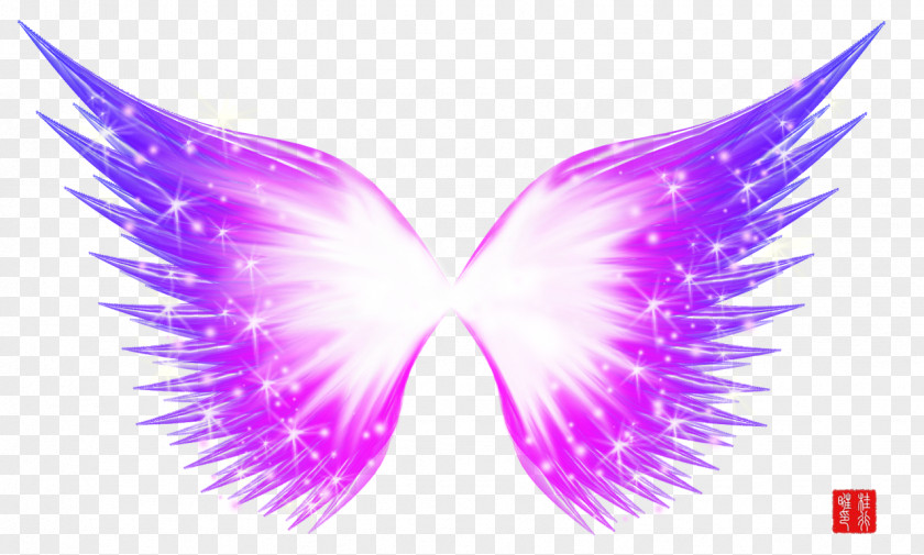 Beautiful Transparent Wings Purple Download PNG