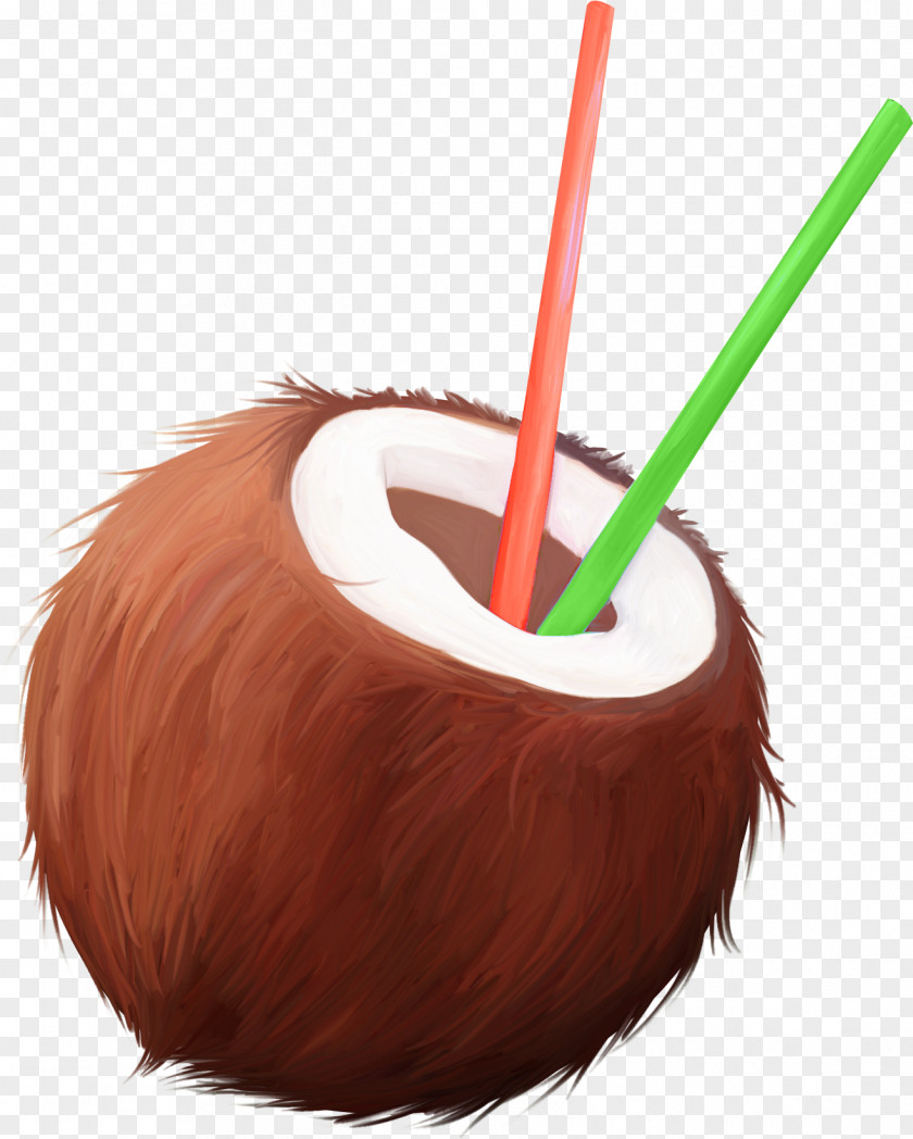 Coconut Material Water Cartoon PNG