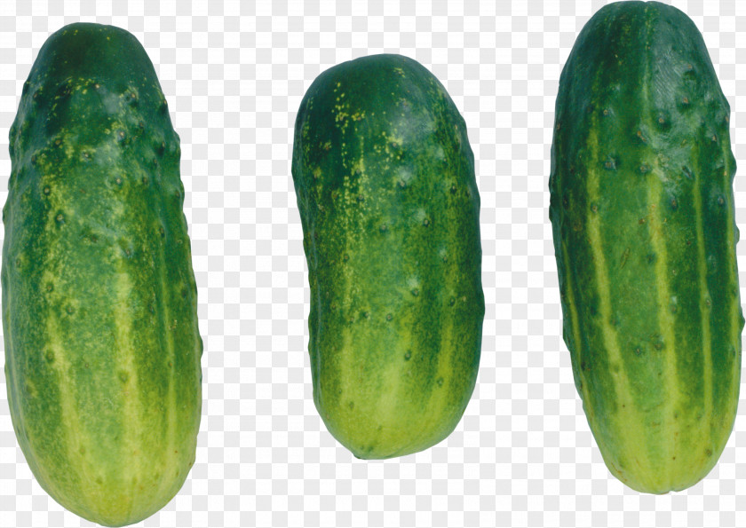 Cucumber Pickled Vegetable Melon PNG