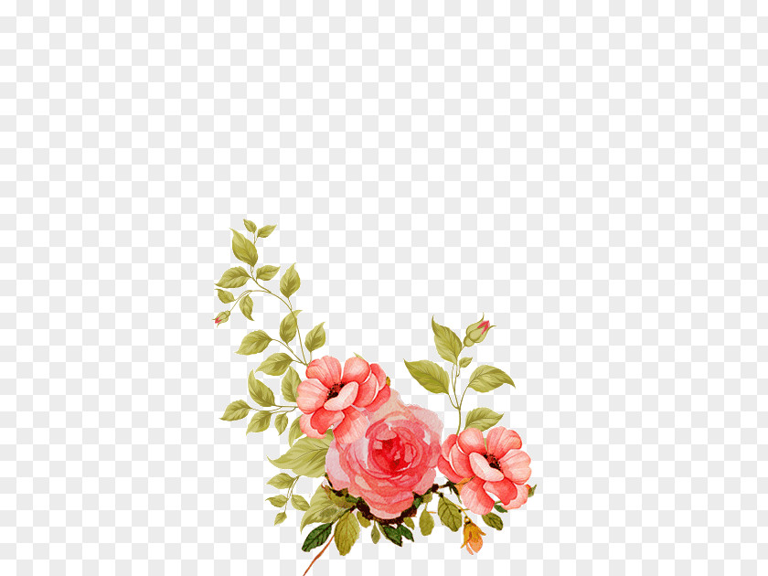 Flower Arranging Petal Floral Design PNG