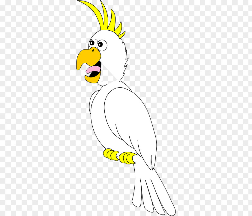 Happy Parrot Bird True Cockatoo Amazon Rooster PNG