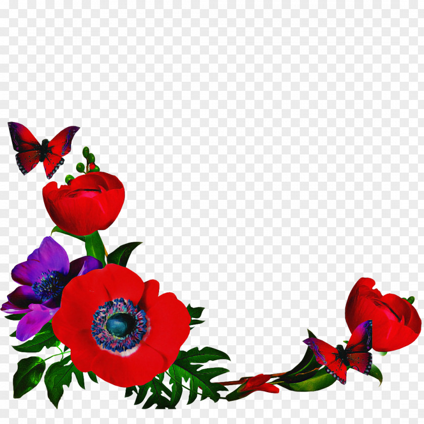 Rose Family Anemone Flowers Background PNG