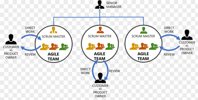 Scrum Master Organization Agile Software Development Product Manager Management PNG