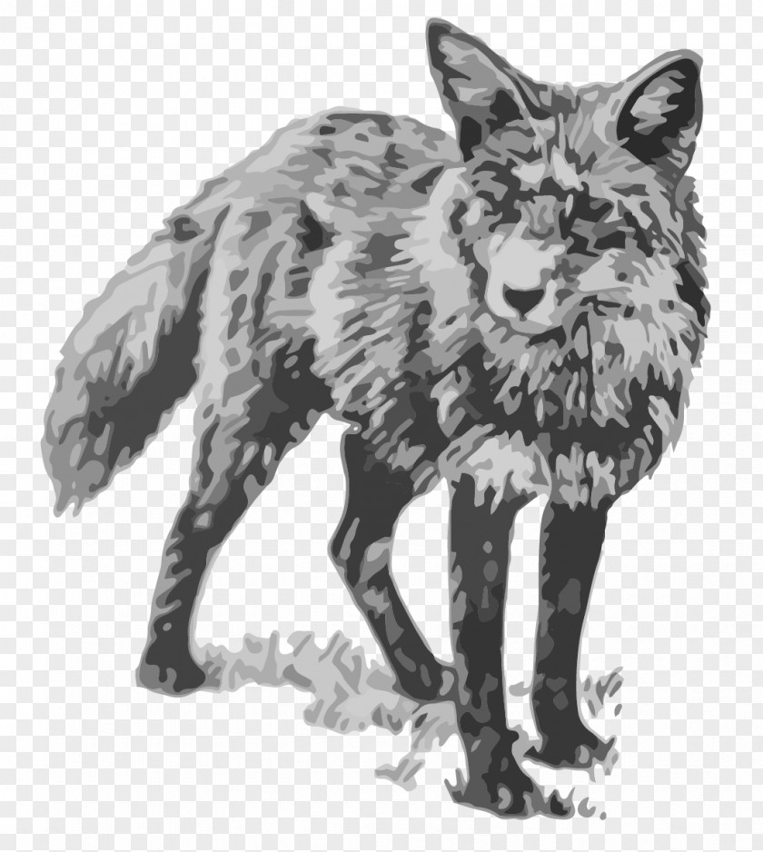 Fox Red Coyote Gray Wolf Jackal Vulpini PNG