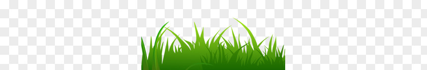 Grass PNG clipart PNG