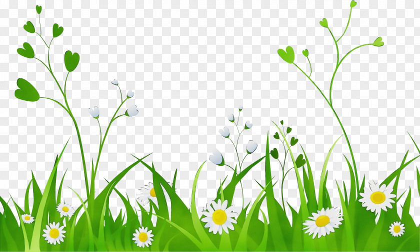 Lawn Stitchwort Transparency Cartoon Drawing GIF Design PNG