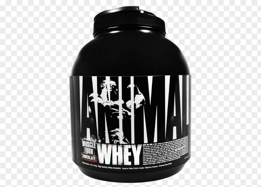 Chocolate Dietary Supplement Brownie Universal Nutrition Animal Whey Protein PNG