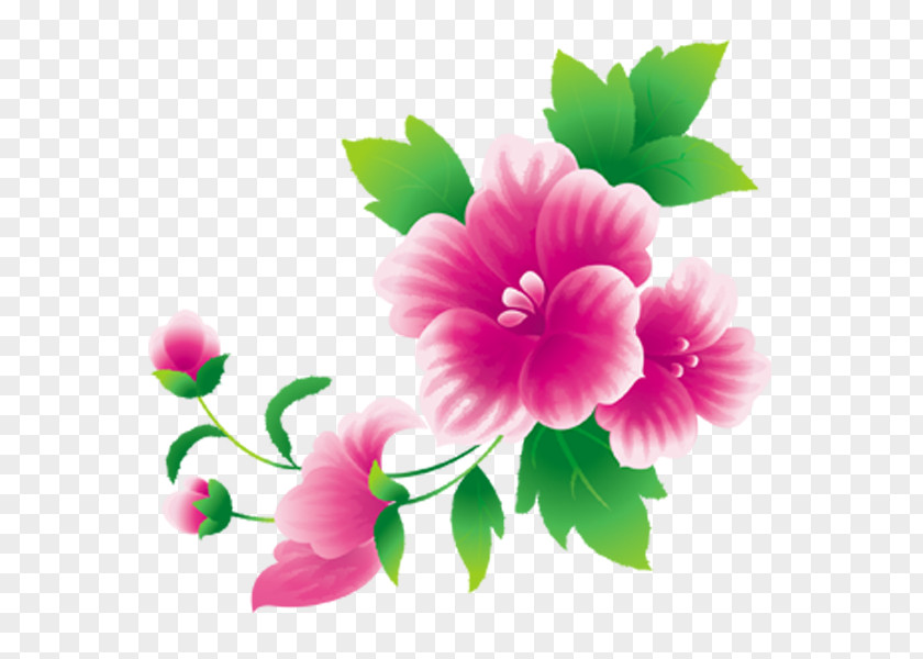 Flower Pink Flowers Floral Design Clip Art PNG