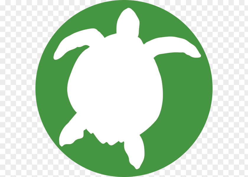 Portugal Theft ຈັນທະບູລີ BurglaryWatercolor Turtle Bromsgrove Ecosse PNG