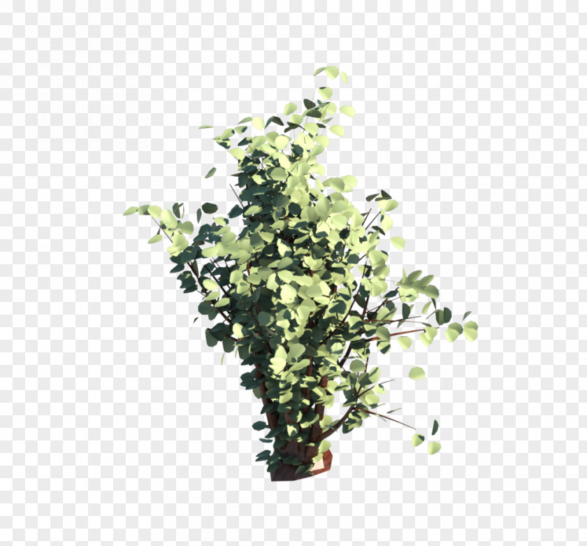 Arbusto Flowerpot Herb Shrub Branching PNG