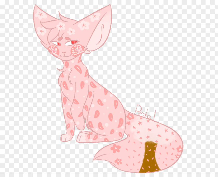 Fennec Fox Cat Kitten Mammal Carnivora Whiskers PNG