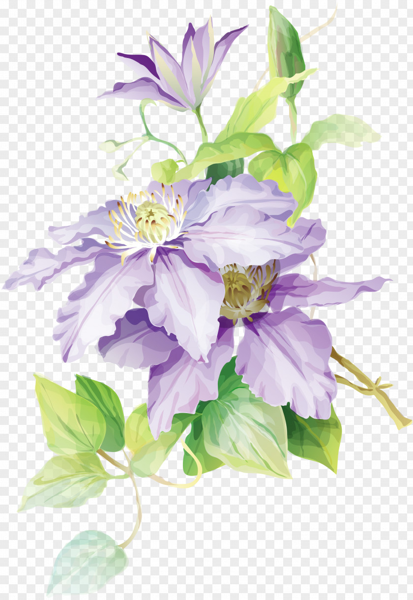 Flower Bouquet Floral Design Watercolor Painting Drawing PNG