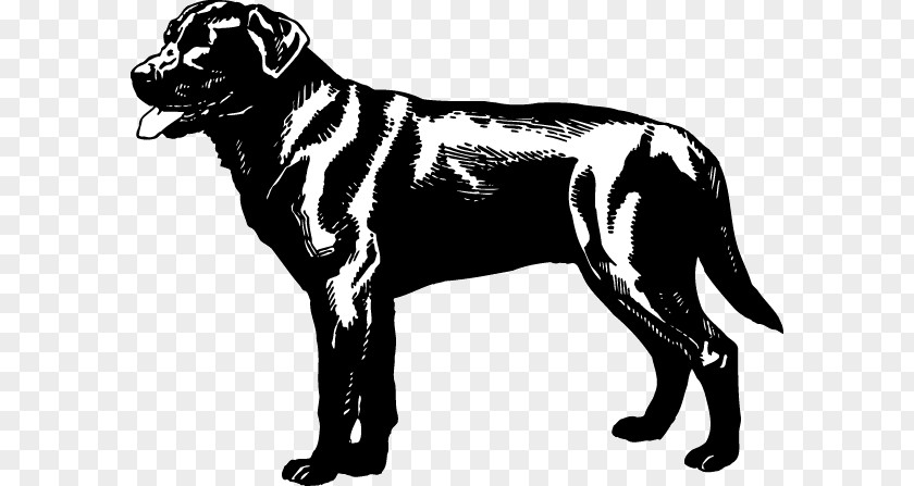 Golden Retriever Great Dane Dog Breed Labrador Rottweiler PNG