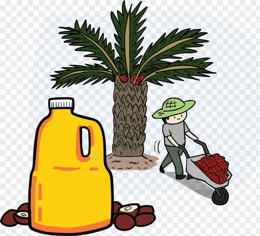 Oil Clip Art Palm Cooking Oils Canola PNG