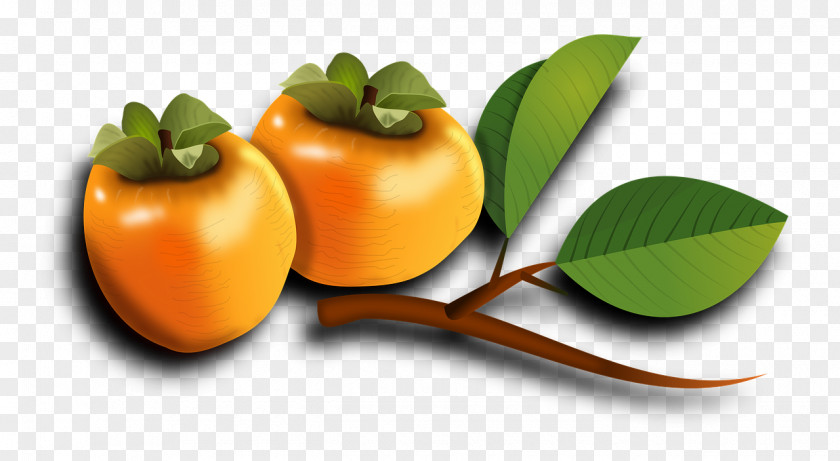 Persimmon Japanese Vegetarian Cuisine Fruit PNG