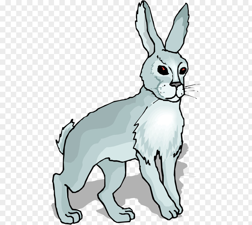 Peter Rabbit Easter Bunny Hare Holland Lop Domestic PNG