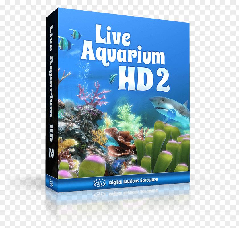 Reef Aquarium Ecosystem Organism PNG