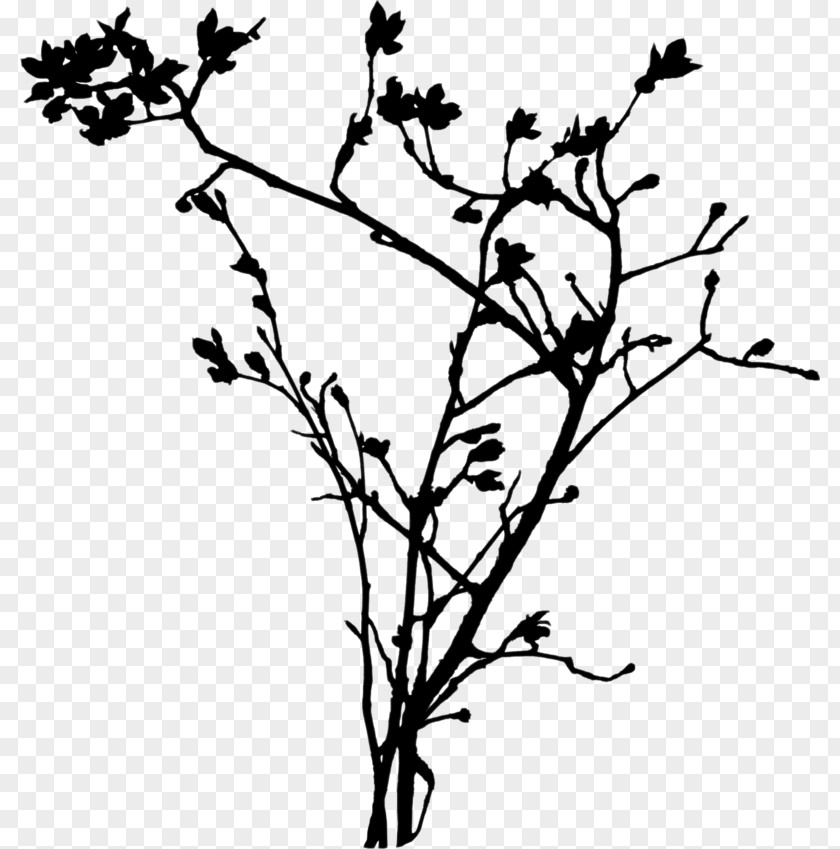 Twig Clip Art Flower Plant Stem Leaf PNG