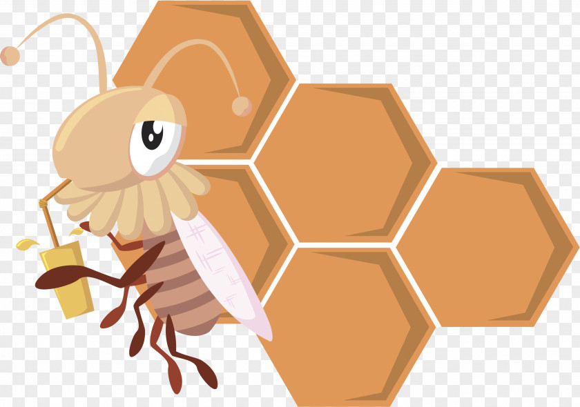 Bee Honey Insect Honeycomb PNG