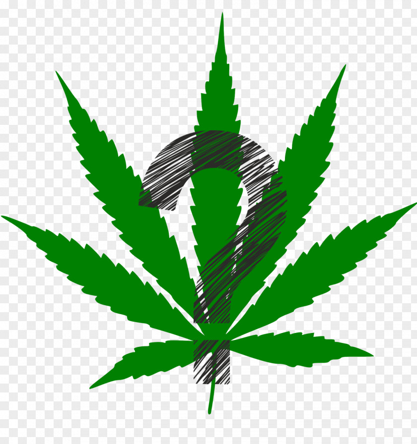 Cannabis Sativa Hemp Ruderalis Medical PNG