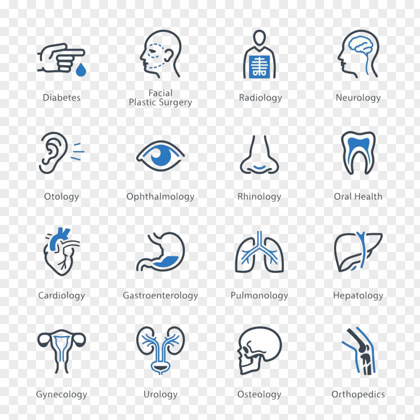 Human Body Icon High-definition Buckle Material Health Care Medicine Specialty PNG