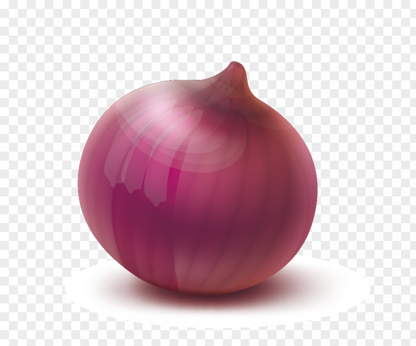 Vector Onions Red Onion Yellow Magenta Sphere PNG