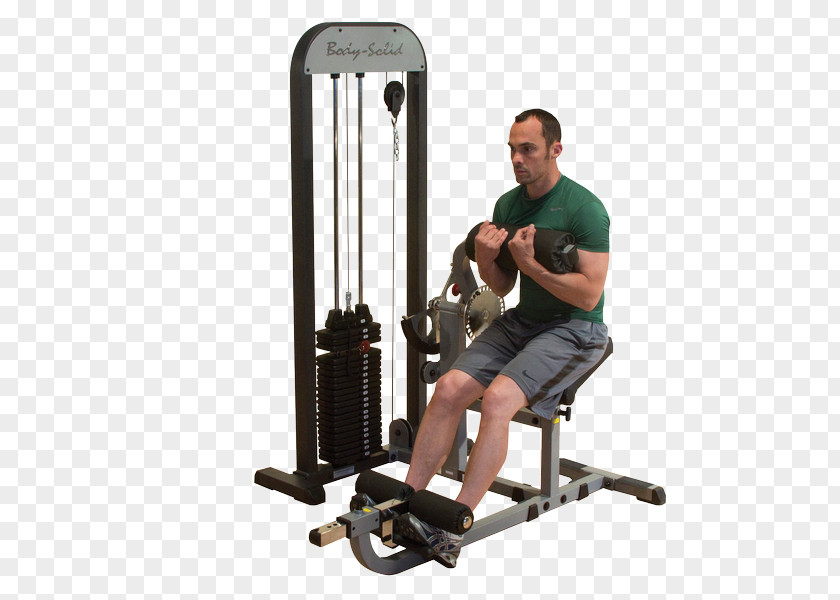 Abdo Abdomen Human Back Muscle Smith Machine Weight Training PNG