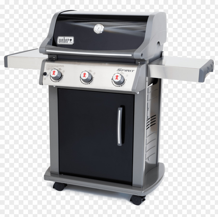 Barbecue Grilling Weber-Stephen Products Kitchen Gas PNG