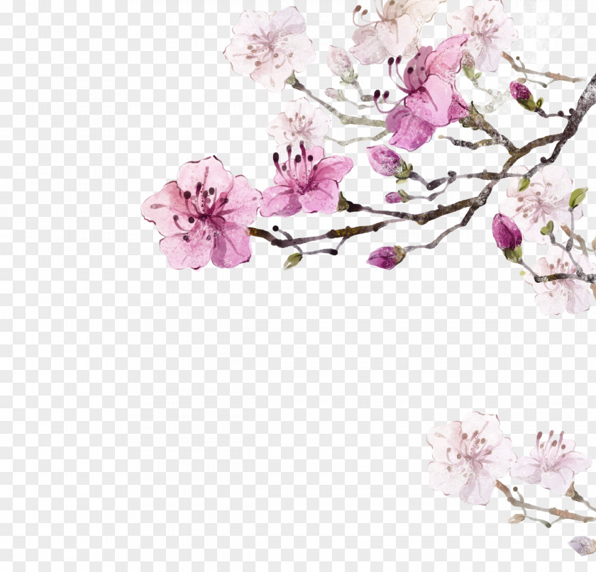 Flowers Flower Clip Art PNG