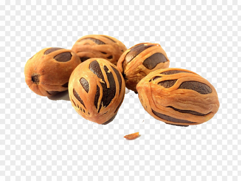 India Coconut Nutmeg Oil Spice Health Essential PNG