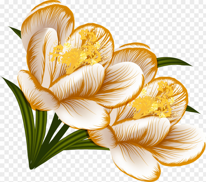 Pond Flower Clip Art PNG