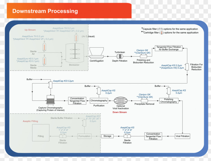Biopharmaceutical Downstream Processing Diagram Petroleum Industry PNG