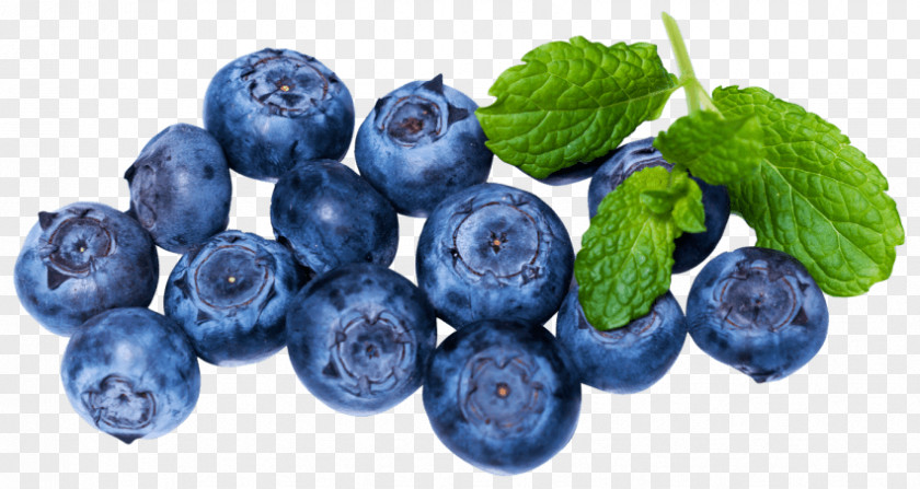 Blueberry Clip Art Berries American Muffins PNG