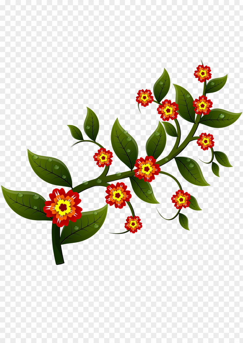Branch Flower PNG