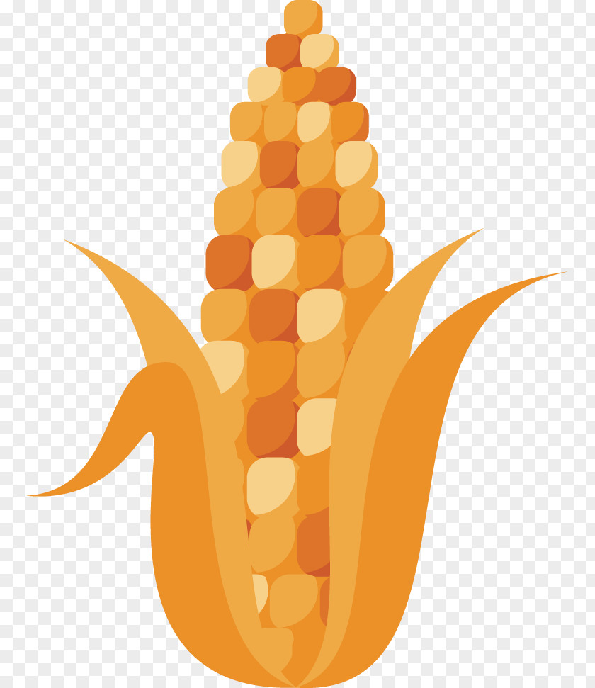 Corn Material Cartoon Computer File PNG