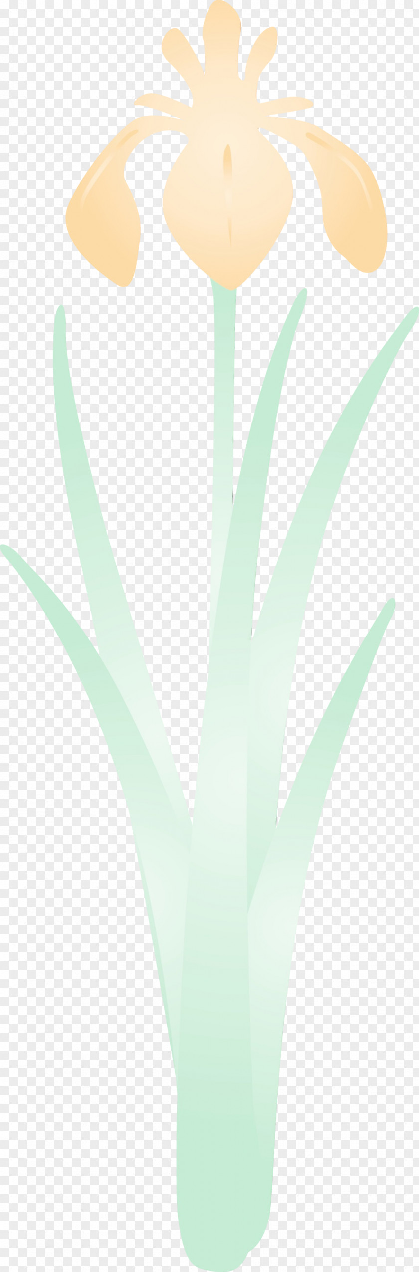 Green Leaf Plant Flower Perennial PNG