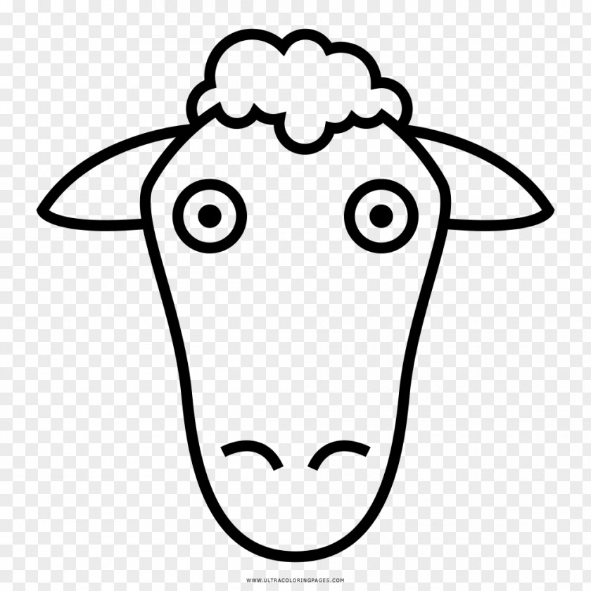 Sheep Drawing Coloring Book Black And White PNG