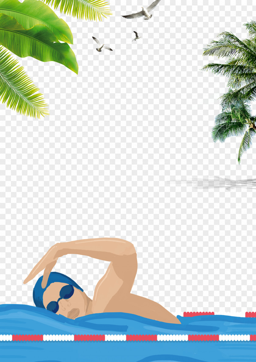 Swimming Training Poster Background Summer Cartoon PNG