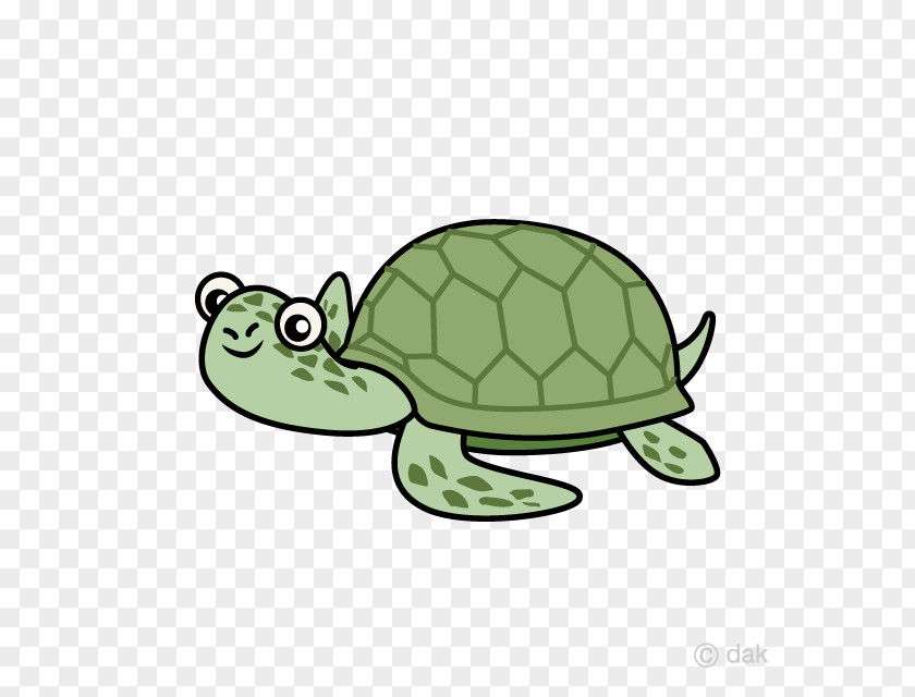 Turtle Tortoise Sea Clip Art Illustration PNG