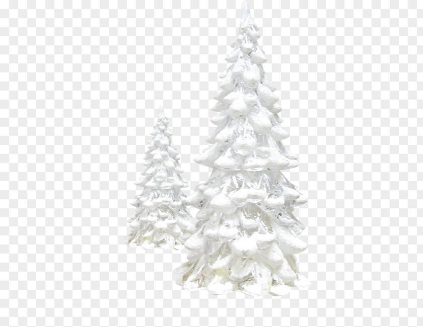 Christmas Tree Pine Winter PNG